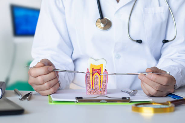 Best Emergency Dental Care for Broken or Chipped Teeth in Pismo Beach, CA